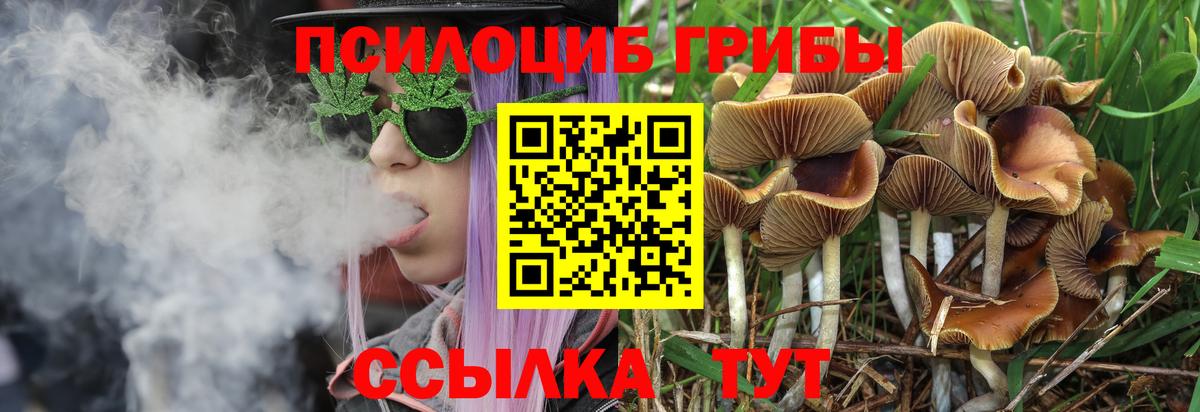 Галлюциногенные грибы Psilocybine cubensis  Вход с VPN  Архангельск 